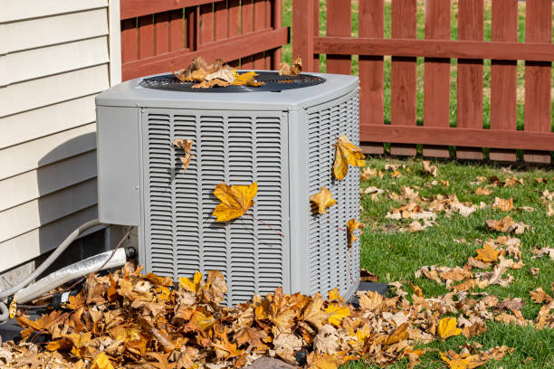 Best HVAC Air Duct Cleaning  in Trenton, FL